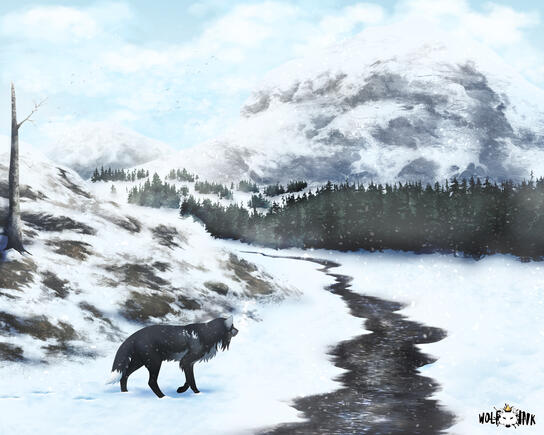 Illustration Illustration